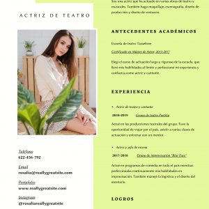 Currículum Vitae - Personalizados