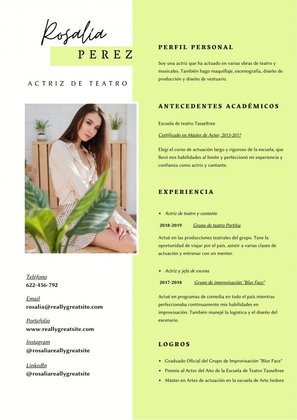 Currículum Vitae - Personalizados