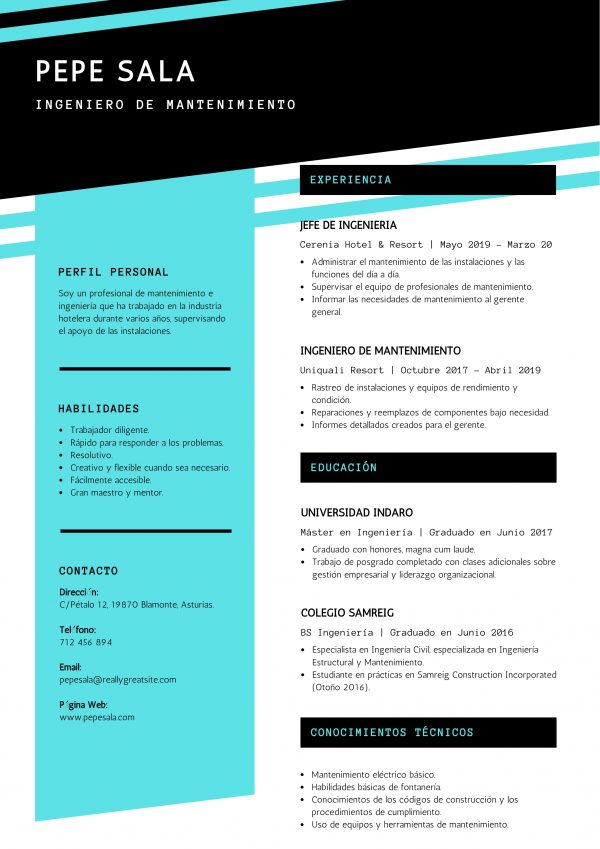 Currículum Vitae - Personalizados - Imagen 7