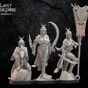 Onna Bugeisha GC - Elfos Oscuros - Lost Kingdom Miniatures