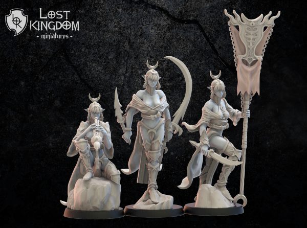 Onna Bugeisha GC - Elfos Oscuros - Lost Kingdom Miniatures
