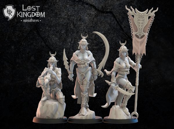Onna Bugeisha GC - Elfos Oscuros - Lost Kingdom Miniatures - Imagen 2
