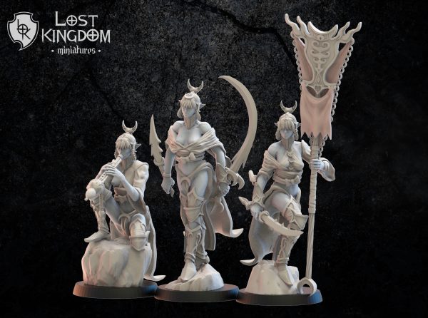 Onna Bugeisha GC - Elfos Oscuros - Lost Kingdom Miniatures - Imagen 3