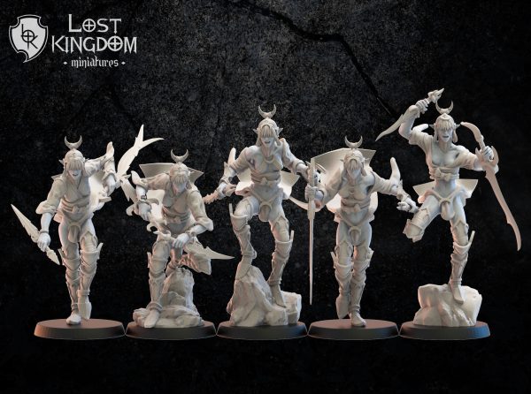 Onna Bugeisha regiment - Elfos Oscuros - Lost Kingdom Miniatures - Imagen 2
