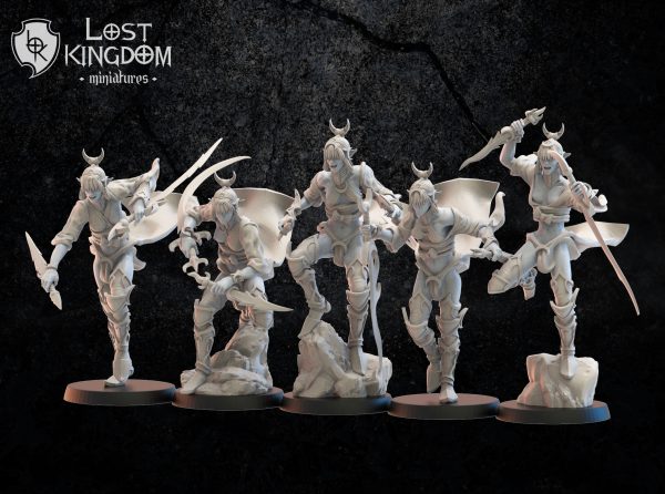 Onna Bugeisha regiment - Elfos Oscuros - Lost Kingdom Miniatures - Imagen 3