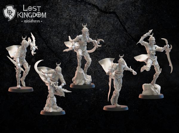 Onna Bugeisha regiment - Elfos Oscuros - Lost Kingdom Miniatures - Imagen 4