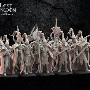 Hisui Guard - Elfos de la noche - Lost Kingdom Miniatures