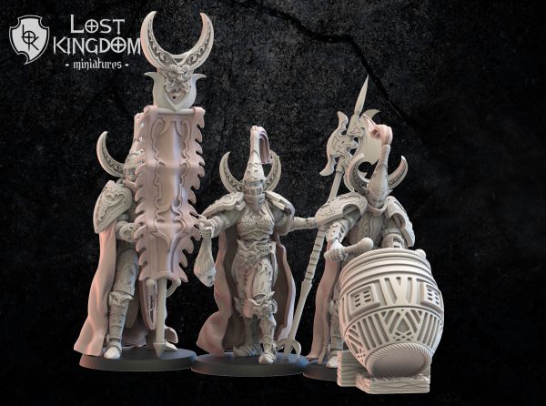 Hisui Guard CG - Elfos de la noche - Lost Kingdom Miniatures
