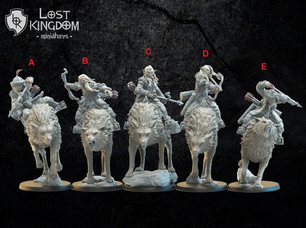 Steppe Riders on direwolf - Elfos Oscuros - Lost Kingdom Miniatures - Imagen 2