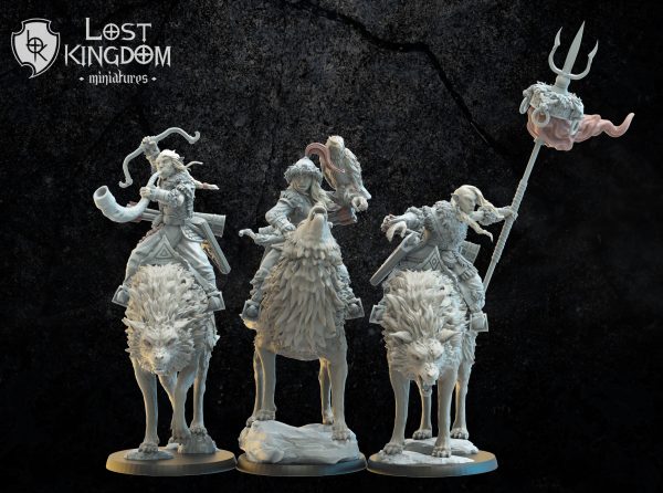 Steppe Riders on direwolf CG - Elfos Oscuros - Lost Kingdom Miniatures - Imagen 4