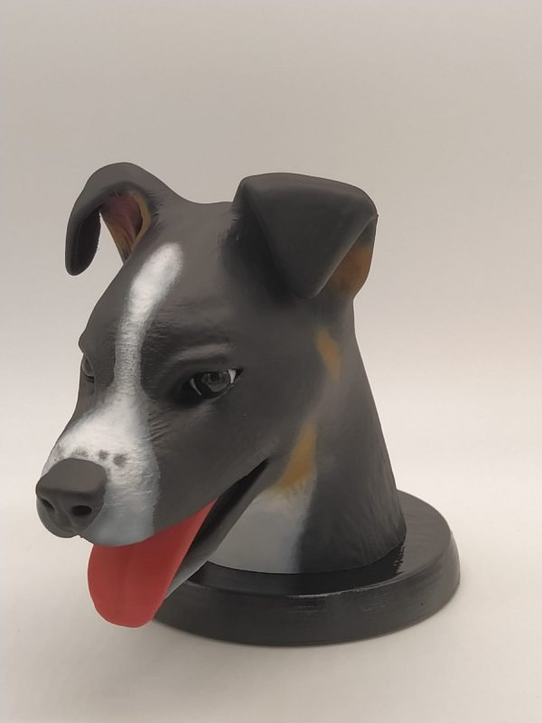 Figura mascotas personalizadas - Imagen 12