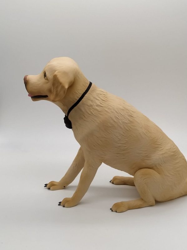 Figura mascotas personalizadas - Imagen 4