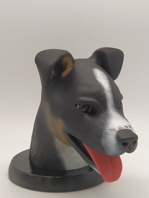 Figura mascotas personalizadas - Imagen 10