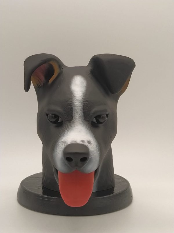 Figura mascotas personalizadas - Imagen 11