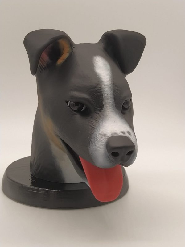 Figura mascotas personalizadas - Imagen 9
