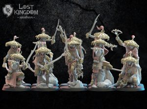 Akkorokamui Corsairs - Elfos de la noche - Lost Kingdom Miniatures