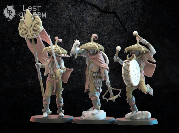 Akkorokamui Corsairs CG - Elfos de la noche - Lost Kingdom Miniatures - Imagen 2