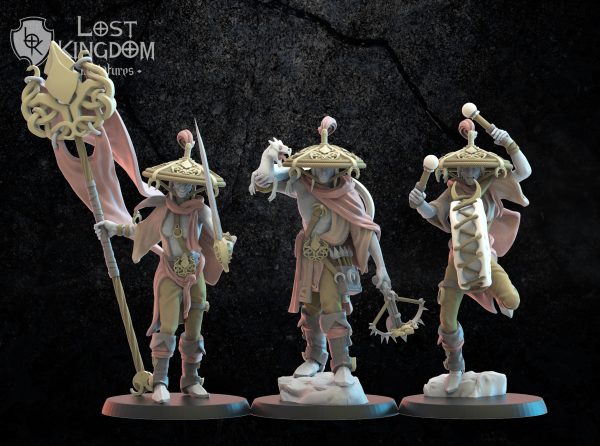 Akkorokamui Corsairs CG - Elfos de la noche - Lost Kingdom Miniatures - Imagen 3