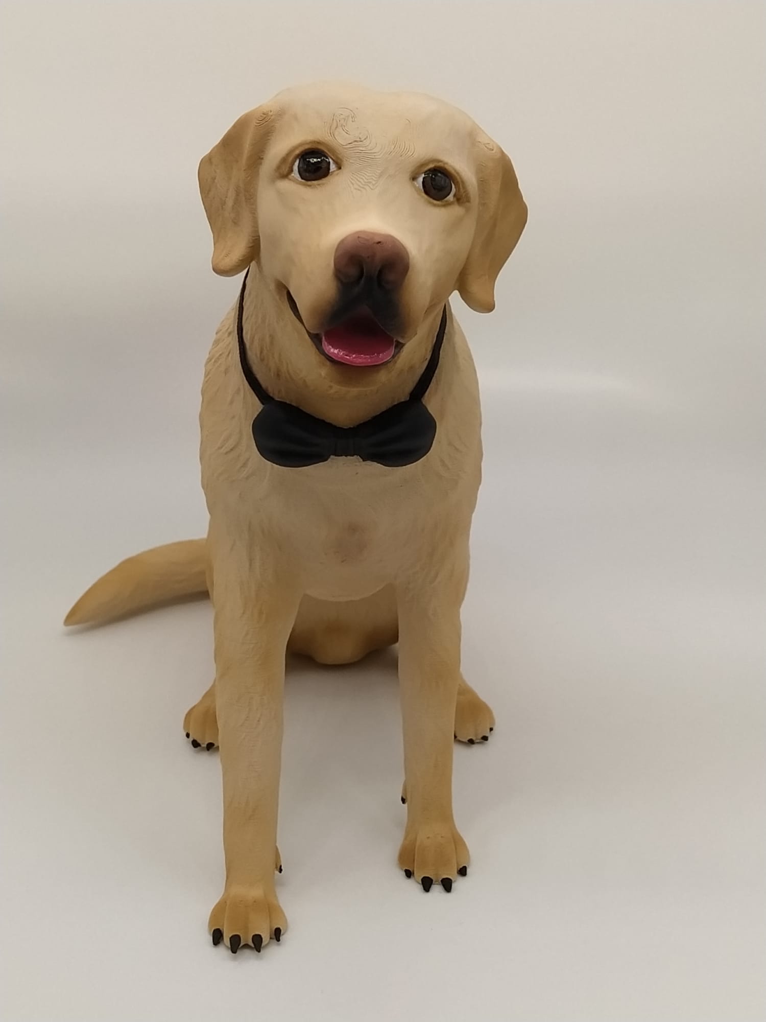 Figura mascotas personalizadas - Imagen 2