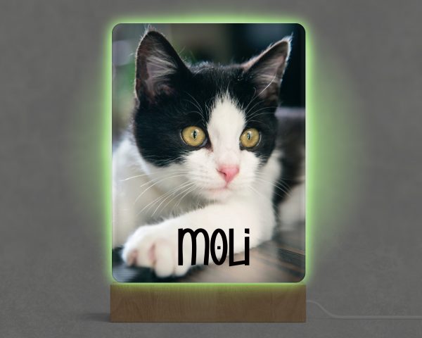 Lámpara personalizada en metacrilato a todo color - Imagen 2
