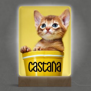 Lámpara personalizada en metacrilato a todo color