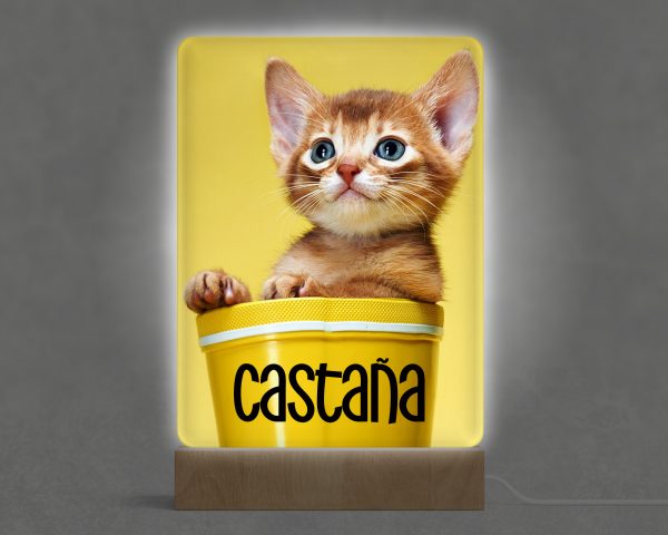 Lámpara personalizada en metacrilato a todo color