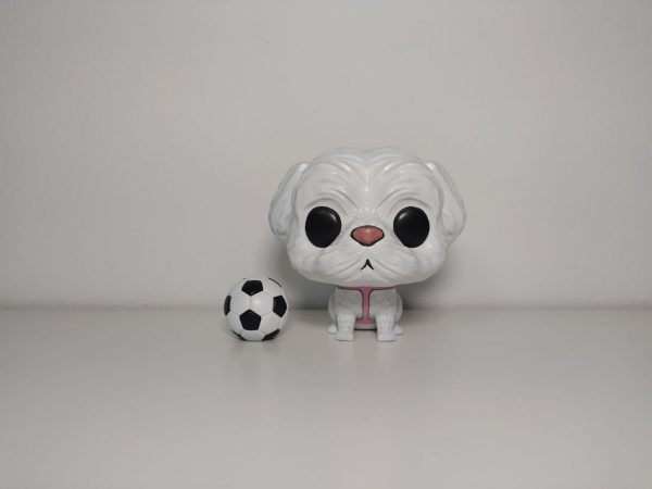 Mascotas POP personalizada - PERROS - Imagen 12