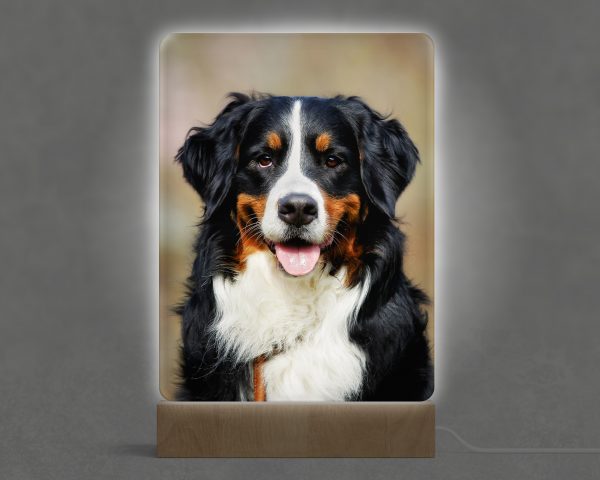 Lámpara personalizada en metacrilato a todo color - Imagen 4