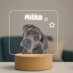 Lámpara personalizada en metacrilato con foto de tu mascota 🐾