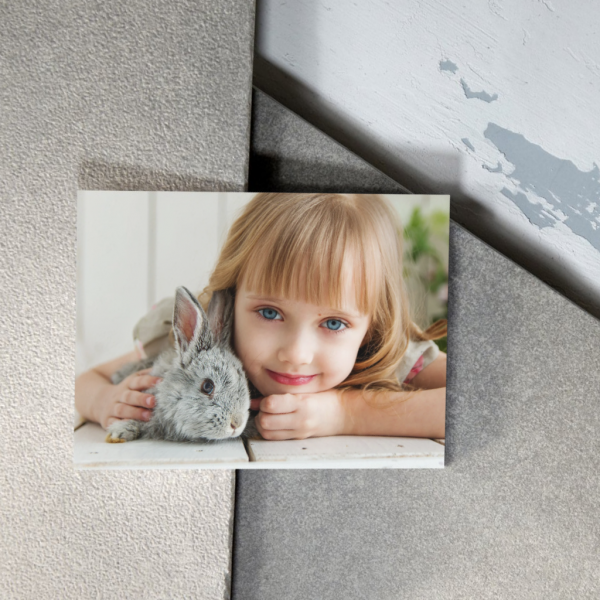 PetAlums – Cuadro personalizado en Aluminio - Imagen 3