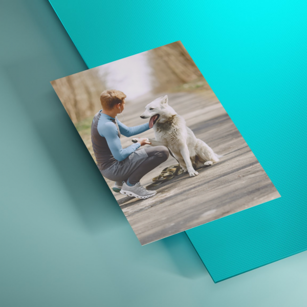 PetAlums – Cuadro personalizado en Aluminio - Imagen 4