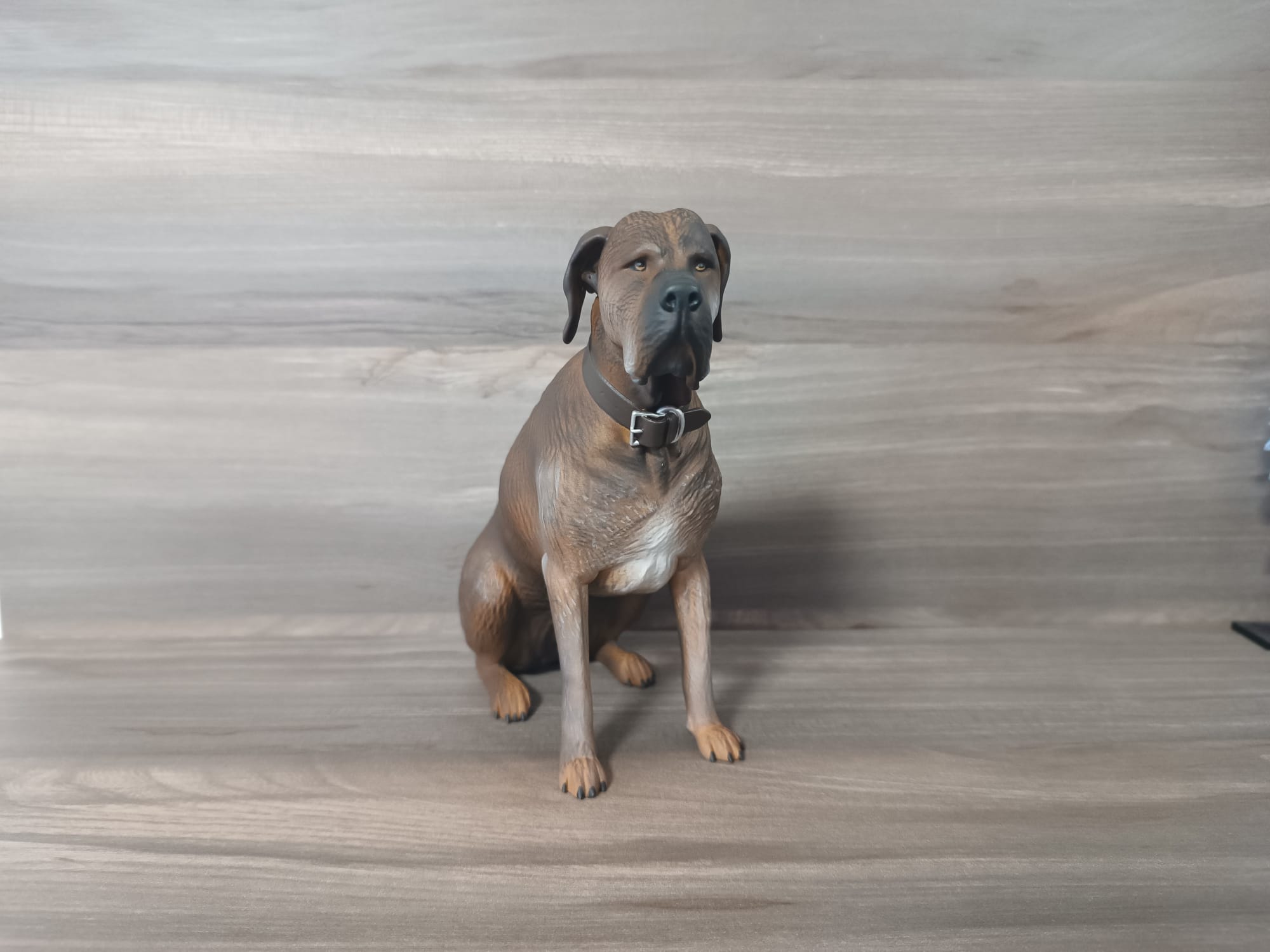 Figura mascotas personalizadas - Imagen 4