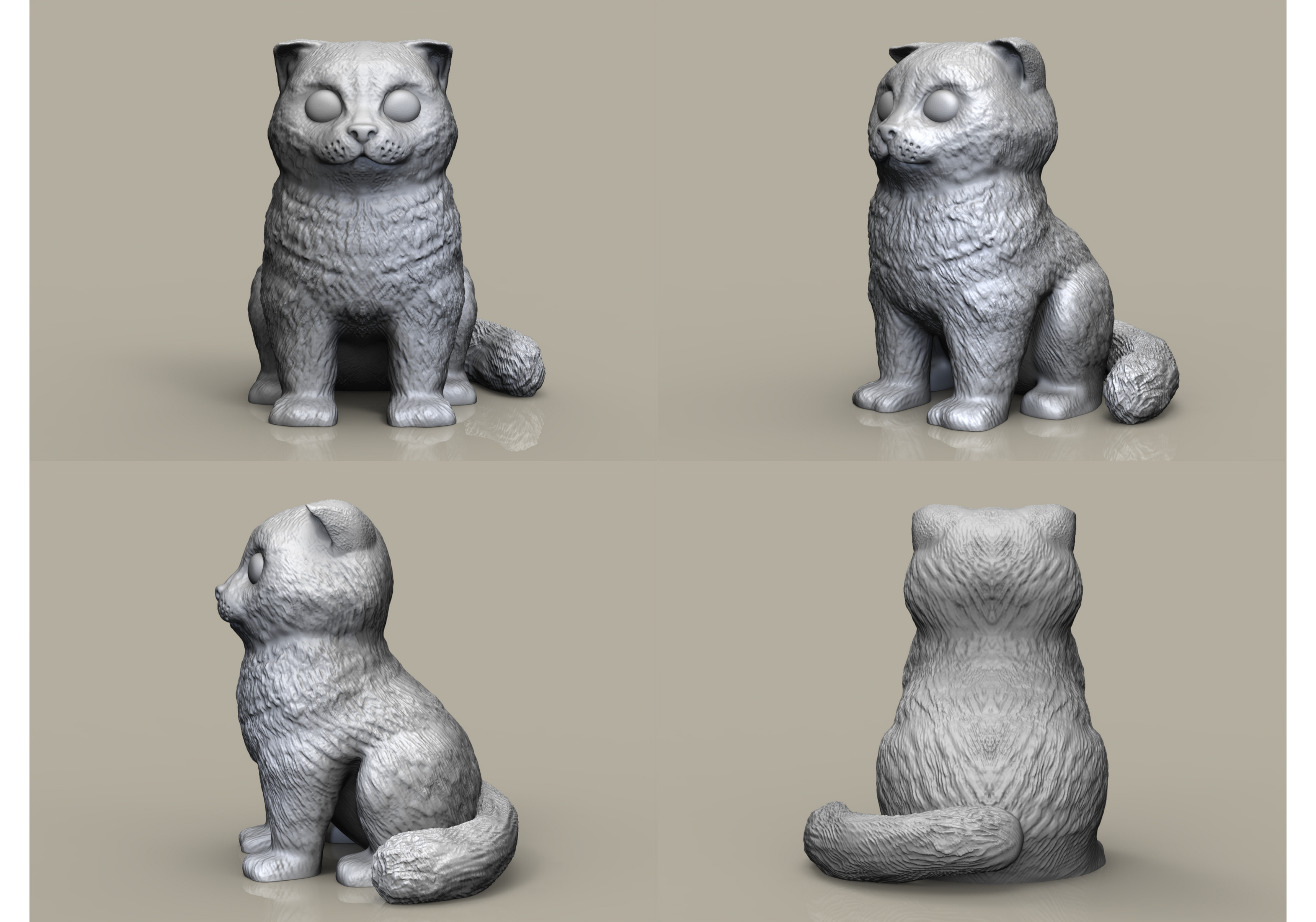 Gato fold escocés