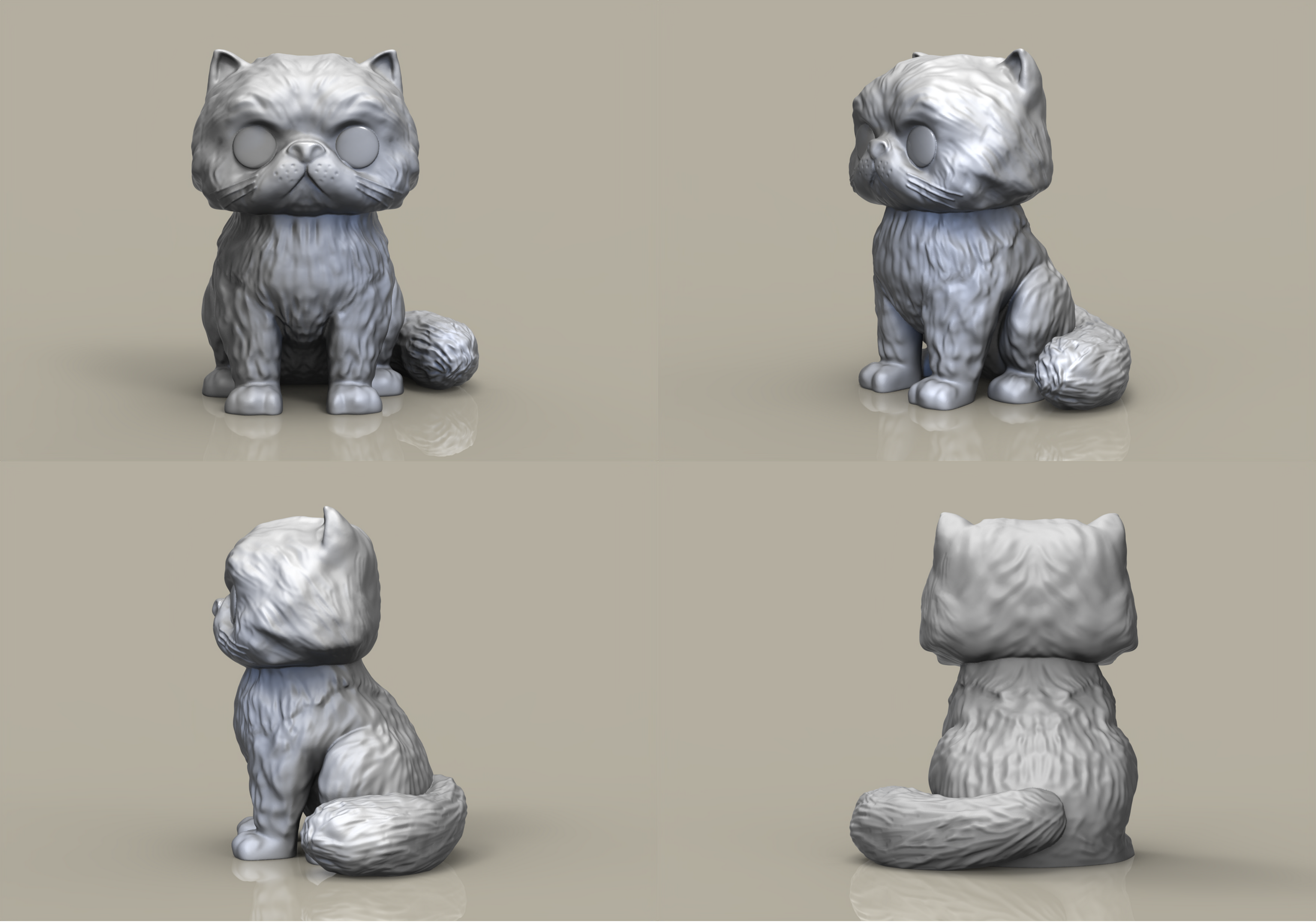 Gato exotico