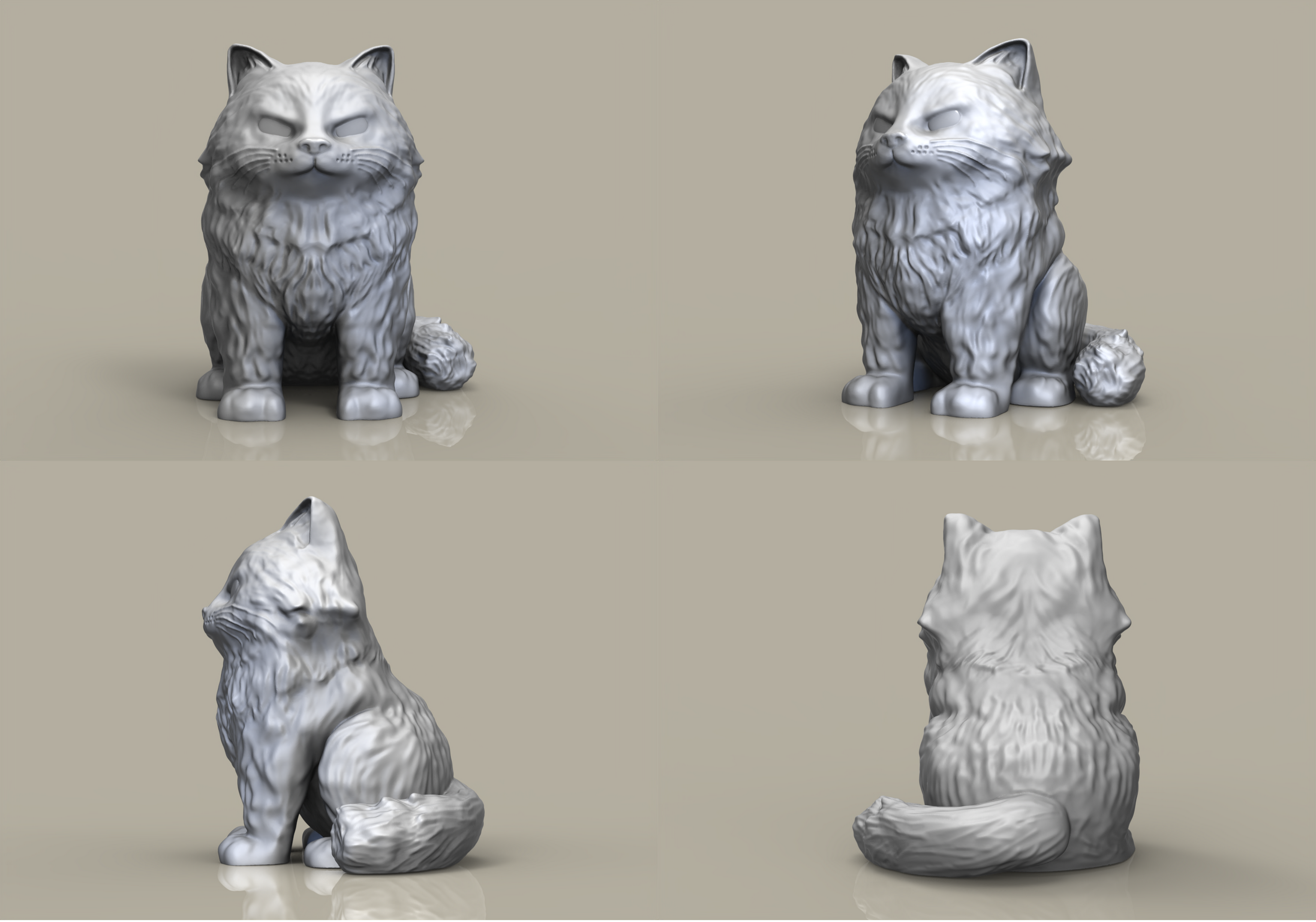 Gato persa