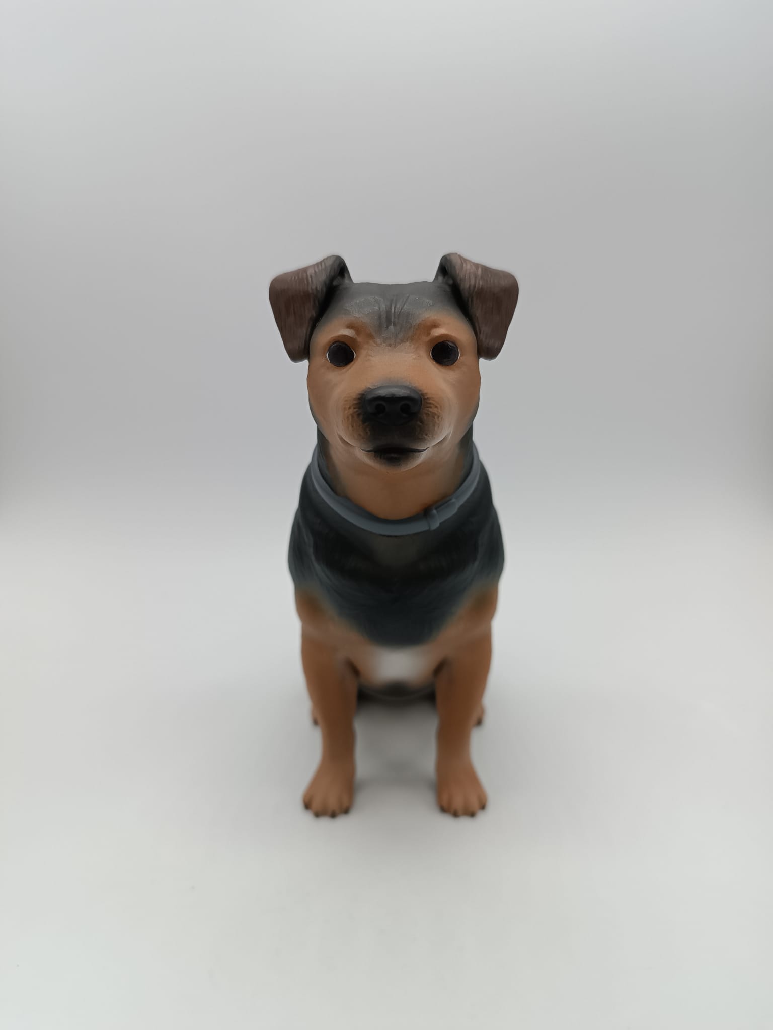 Figura mascotas personalizadas - Imagen 7