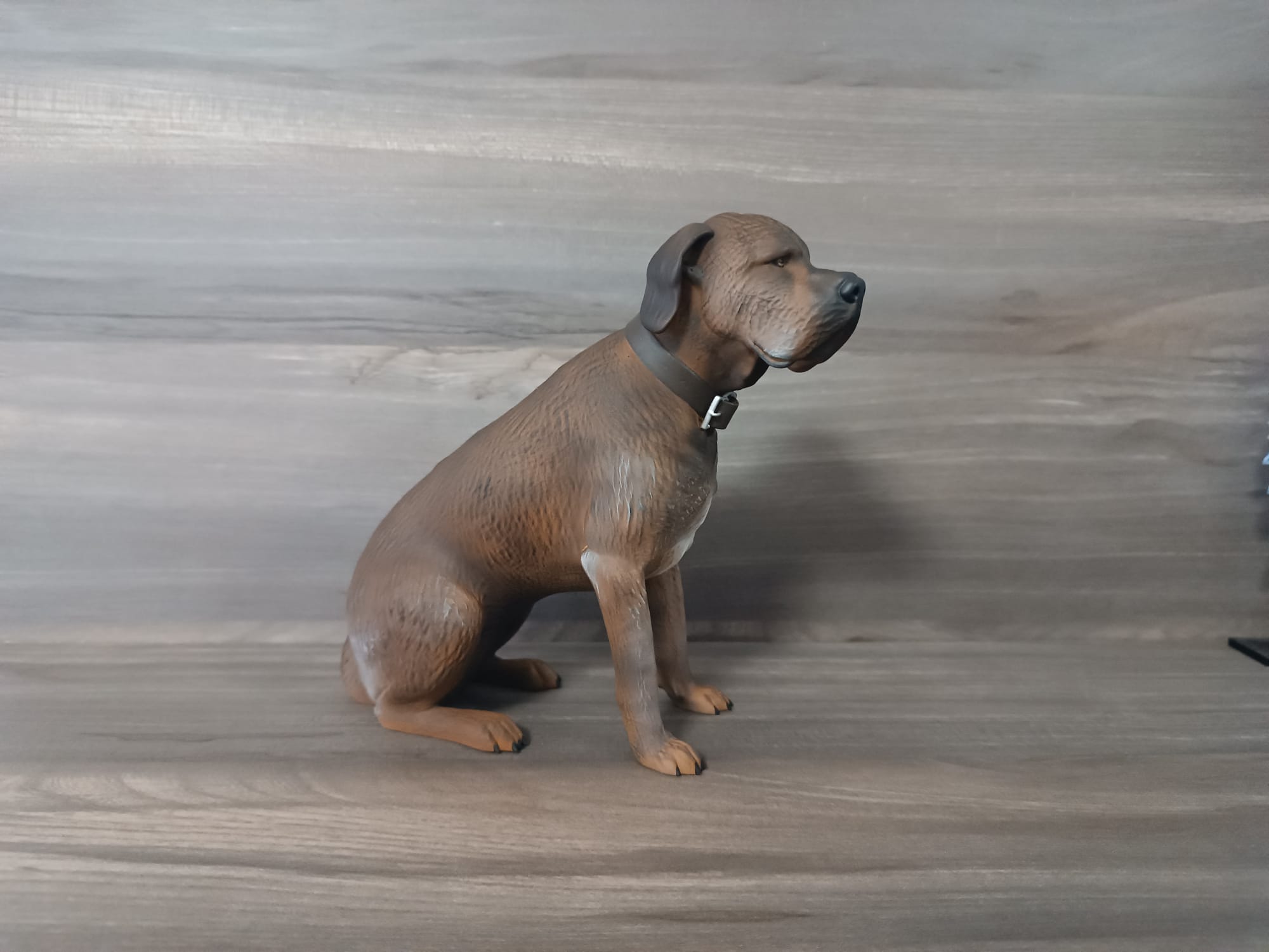 Figura mascotas personalizadas - Imagen 6
