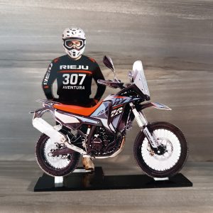 De foto a figura - 2D - Duo